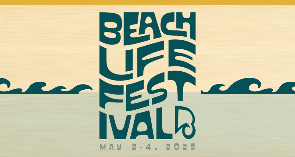 BeachLife Festival Announces 2025 Lineup Loud Hailer Magazine